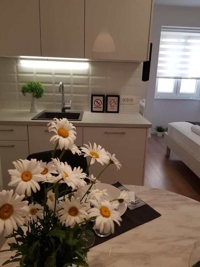 Marina Rijeka Center Apartments Dış mekan fotoğraf